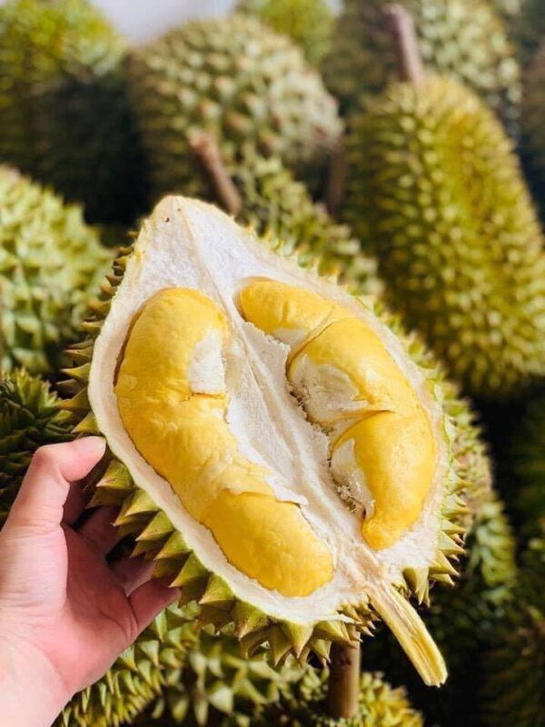 Sầu Riêng