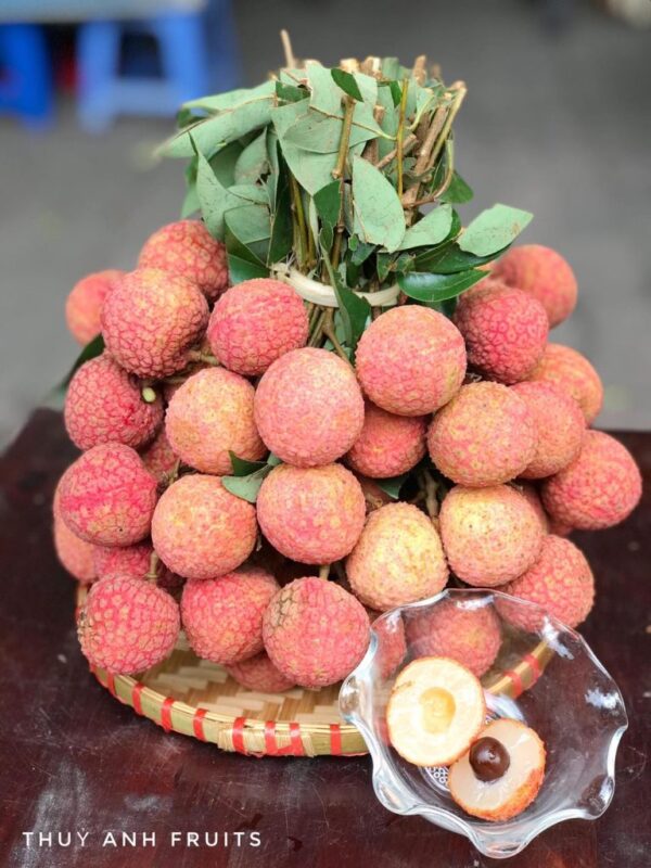 Vải Thiều