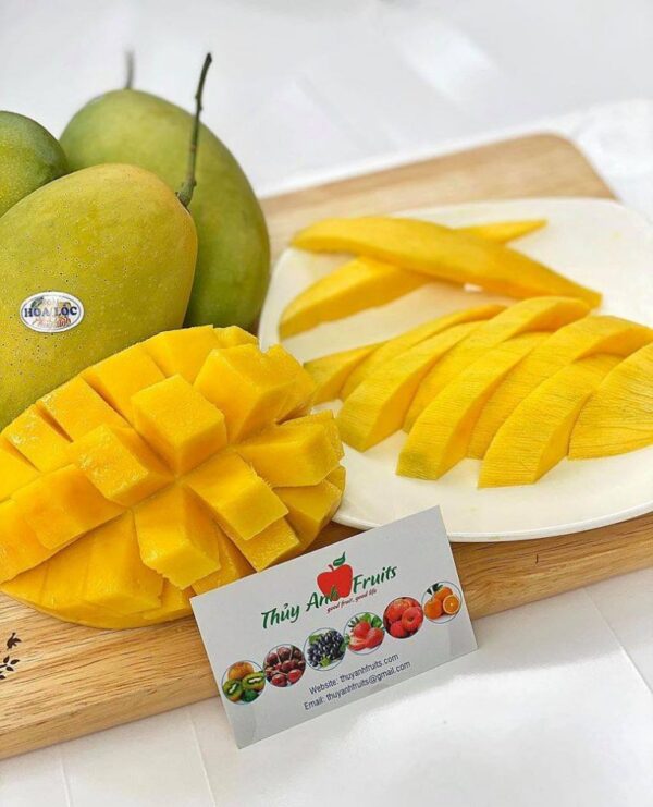 Xoài Cát Hòa Lộc