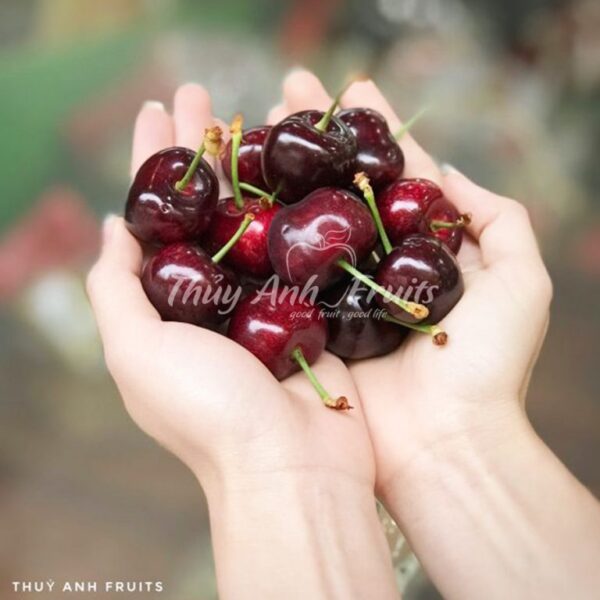 Cherry