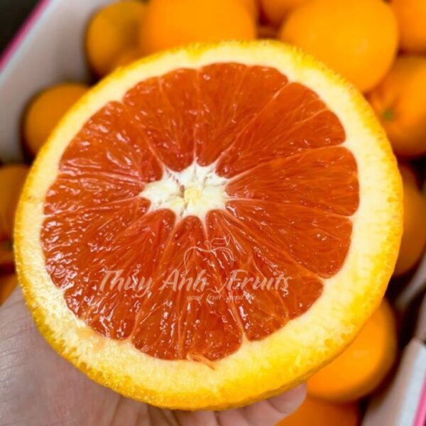 Cam vàng đỏ ruột Úc