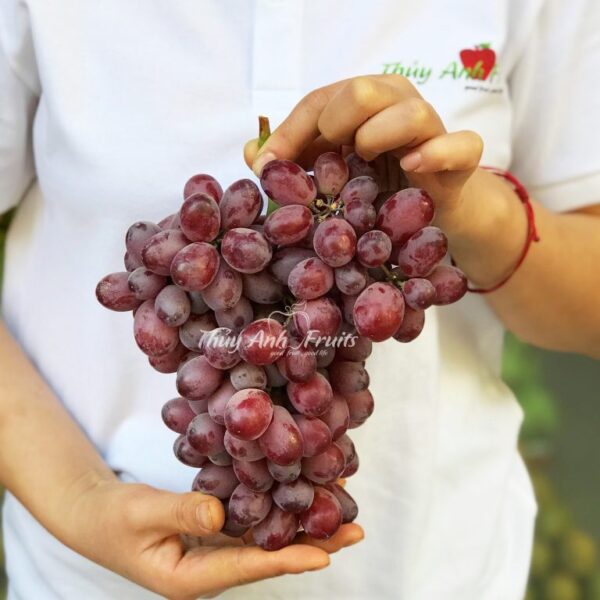 Nho Đỏ