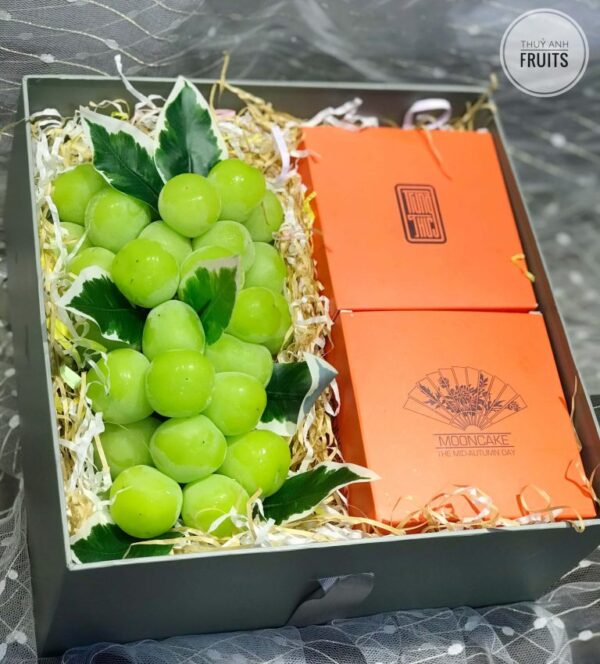 MẪU HỘP QUÀ 04