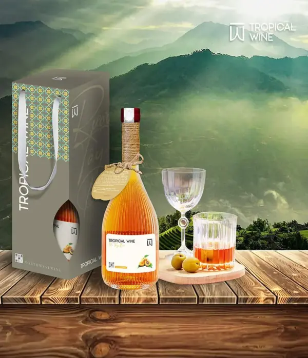 Rượu Mơ Tây Bắc 20%