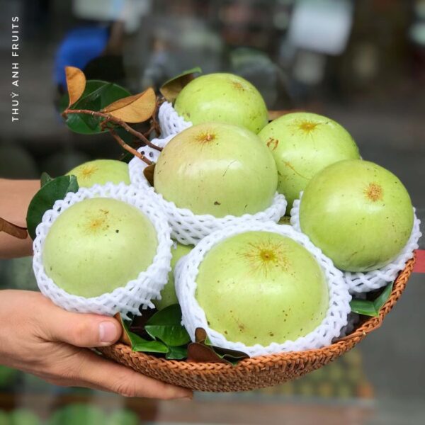 Vú sữa Lò Rèn