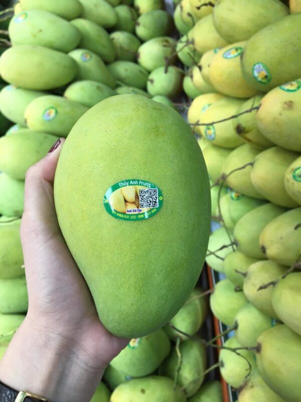 Xoài Cát Chu